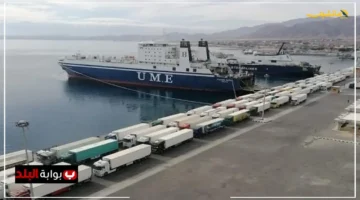 بشرى استثمارية.. ميناء سفاجا على أعتاب تحول تاريخي تفاصيل مشروع المحطة متعددة الأغراض وآفاقه الاقتصادية 1